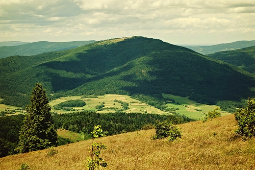 Polana Wynikwka